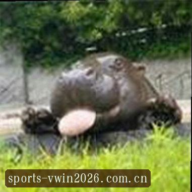 陈宇